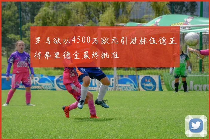 罗马欲以4500万欧元引进林伍德正待弗里德金最终批准