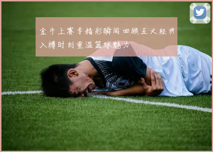 金牛上赛季精彩瞬间回顾五大经典入樽时刻重温篮球魅力